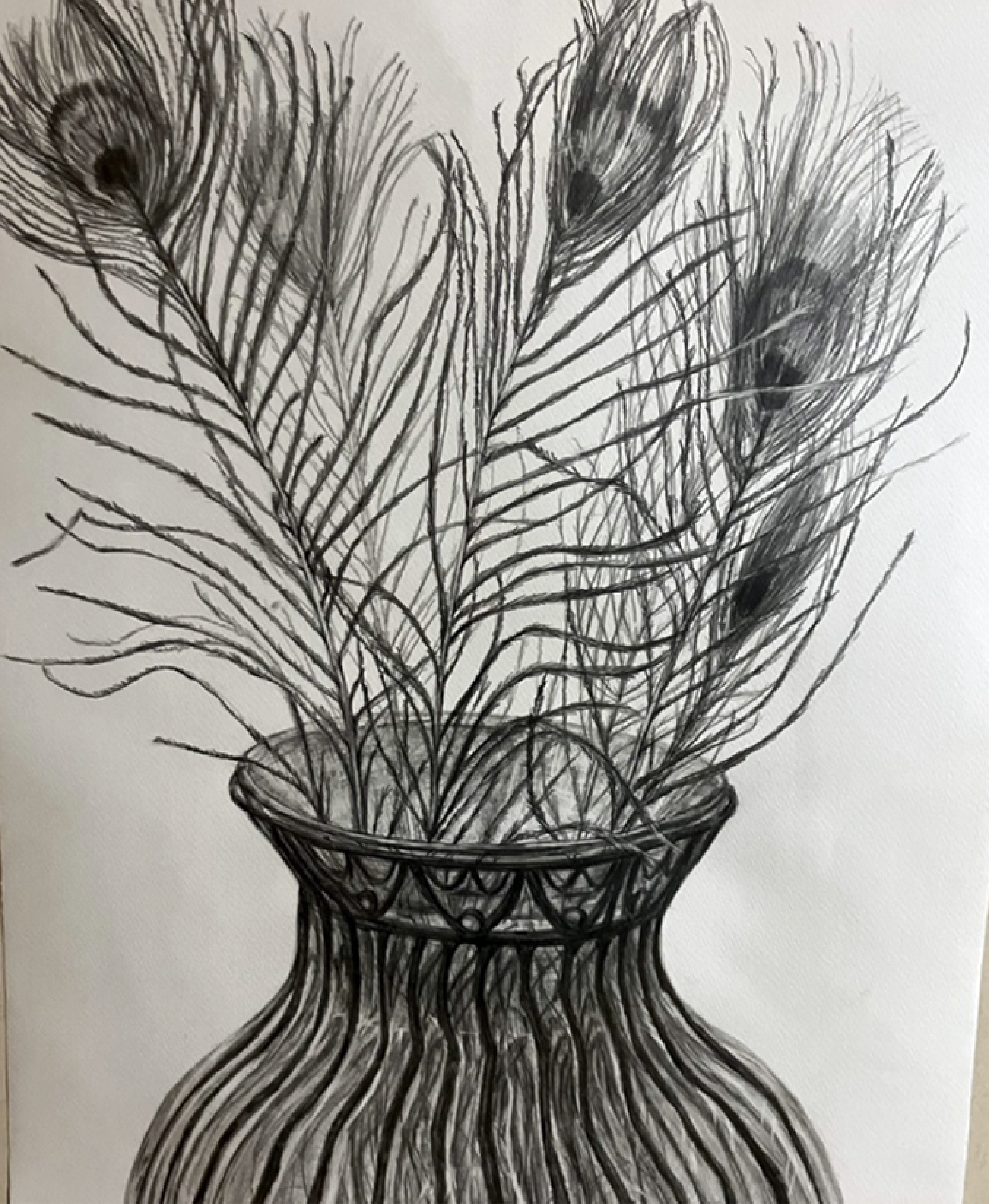 孔雀の羽の静物デッサン