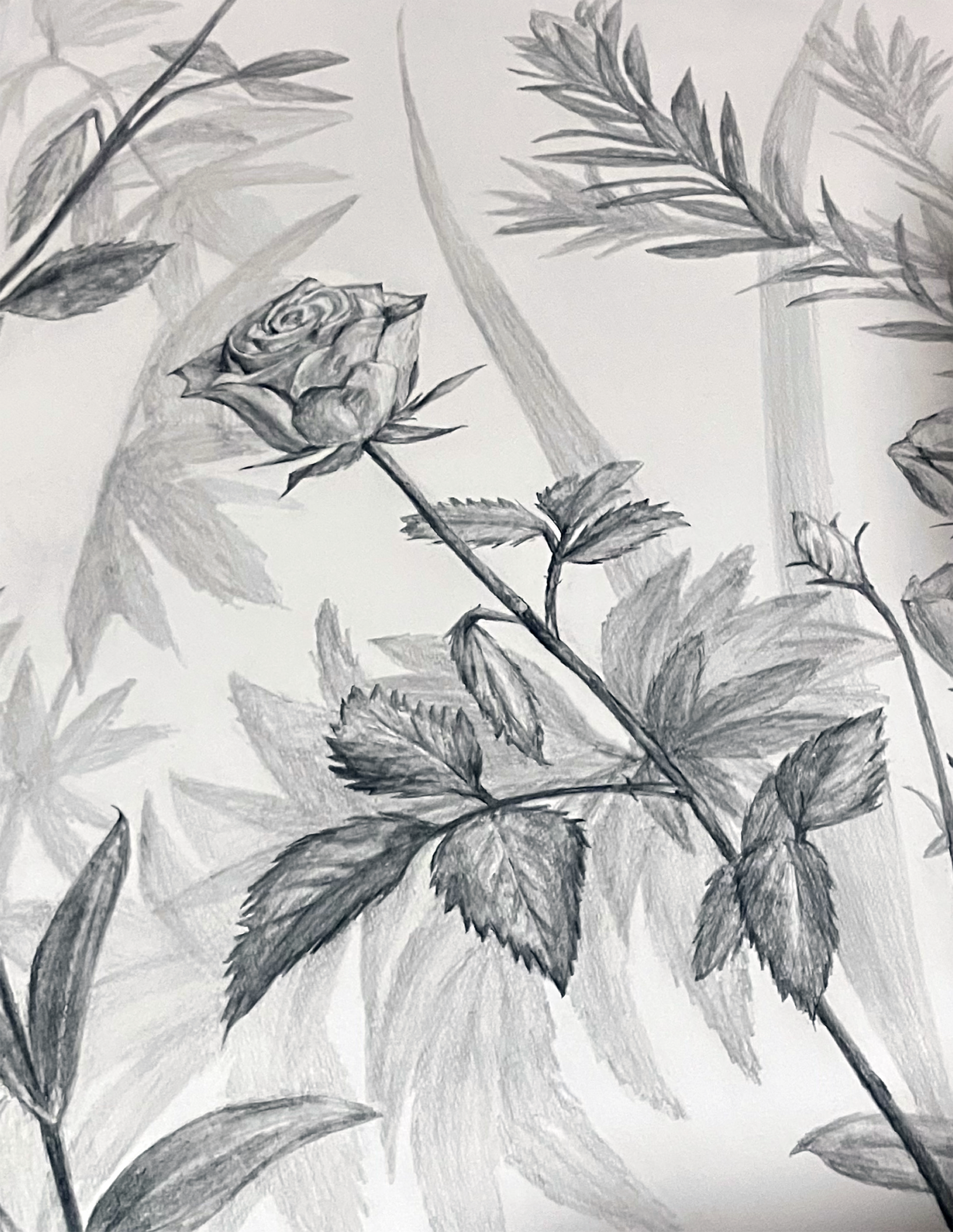 バラの構成デッサン